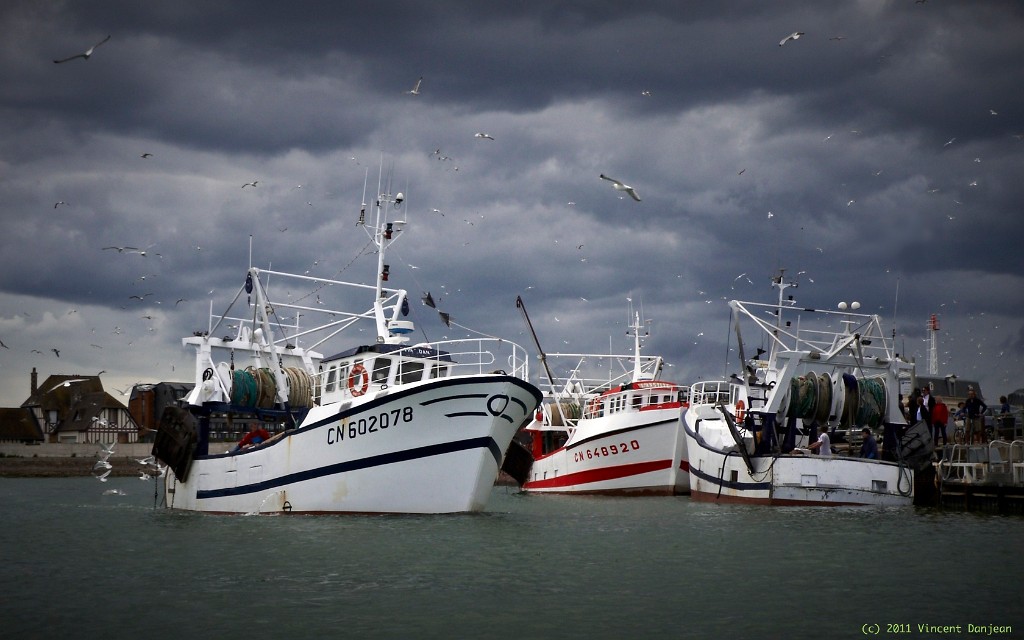 Retour de pêche